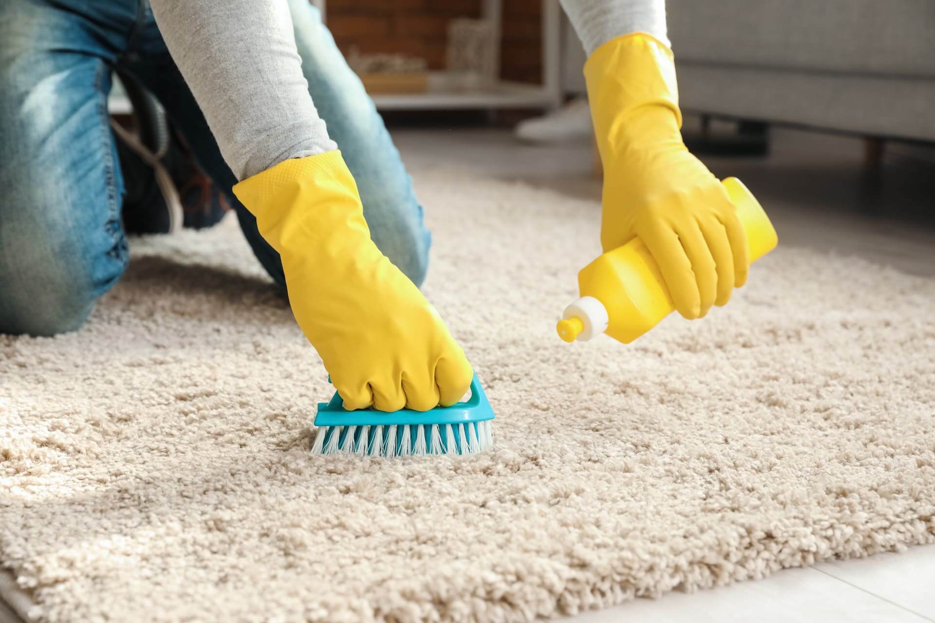 teppichboden reinigen 